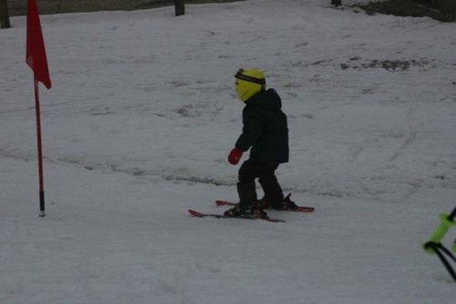 Click on the photo for the original