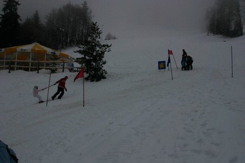 Click on the photo for the original