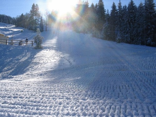 Click on the photo for the original