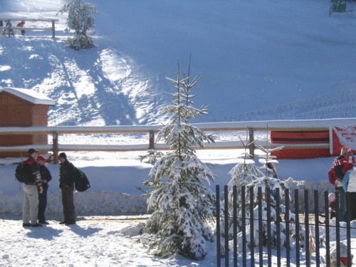 Click on the photo for the original