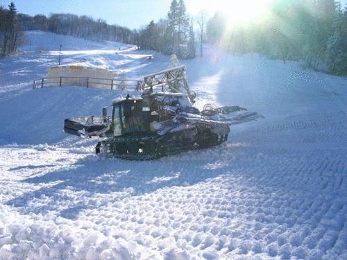 Click on the photo for the original