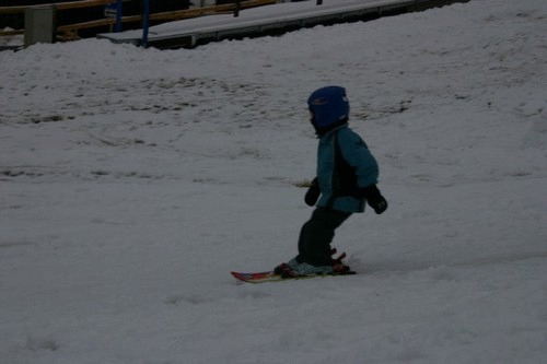 Click on the photo for the original