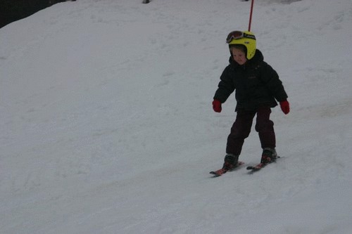 Click on the photo for the original