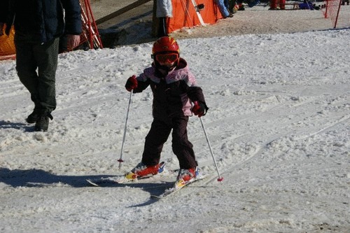 Click on the photo for the original