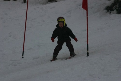 Click on the photo for the original