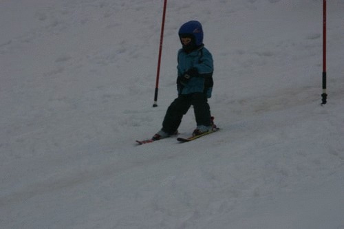 Click on the photo for the original